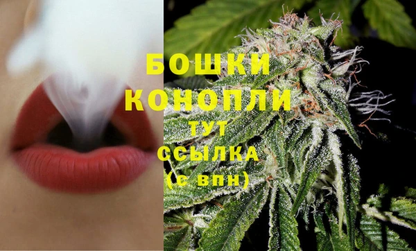 молекула духа Приозерск
