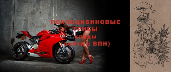 молекула духа Приозерск